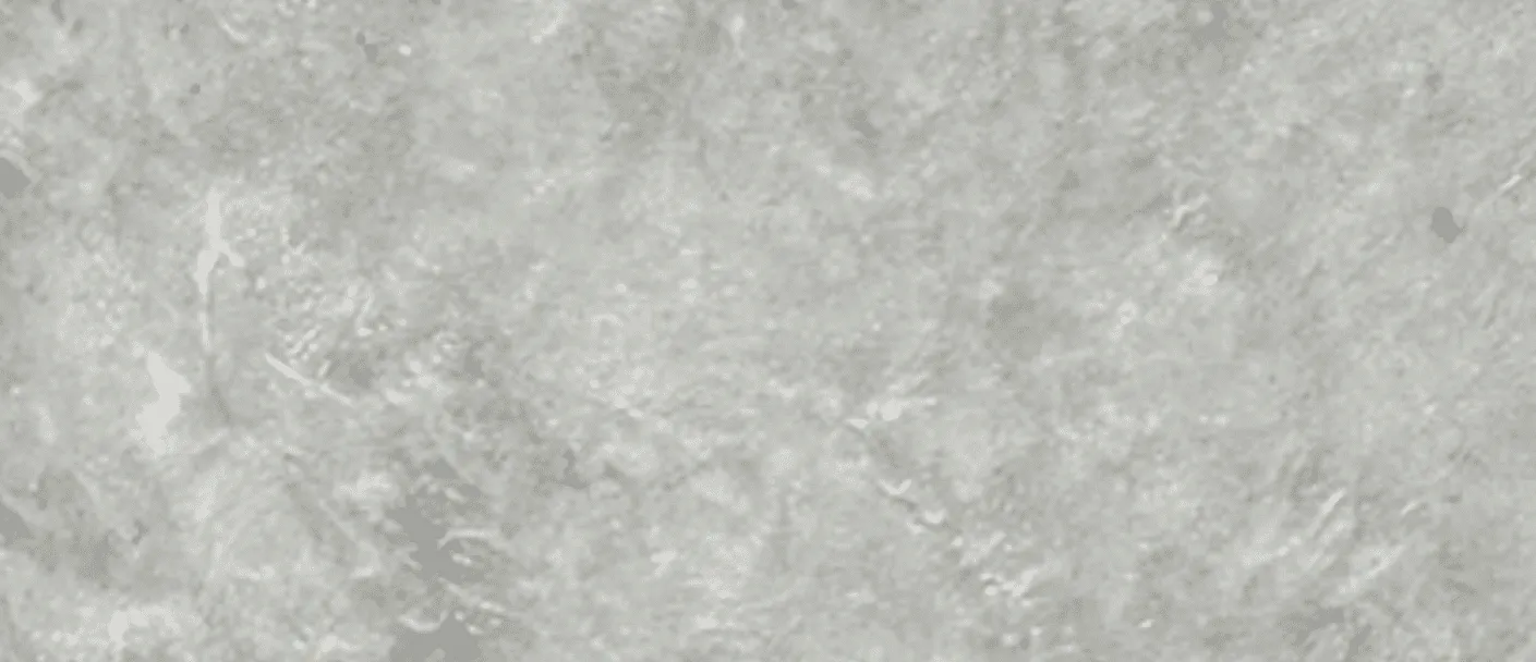 SW